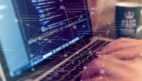 计算机软件开发的专业归属解析