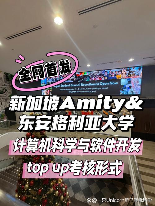 超硬解析新加坡amity & 东安格利亚计算机科学与软件开发top up怎么拿
